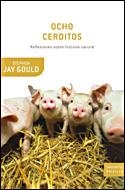 OCHO CERDITOS (DRAKONTOS BOLSILLO 12) | 9788484328537 | JAY GOULD, STEPHEN | Llibreria Aqualata | Comprar llibres en català i castellà online | Comprar llibres Igualada