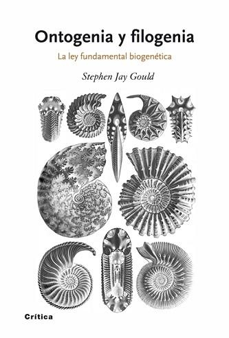 ONTOGENIA Y FILOGENIA (DRAKONTOS) | 9788498920628 | GOULD, STEPHEN JAY | Llibreria Aqualata | Comprar llibres en català i castellà online | Comprar llibres Igualada