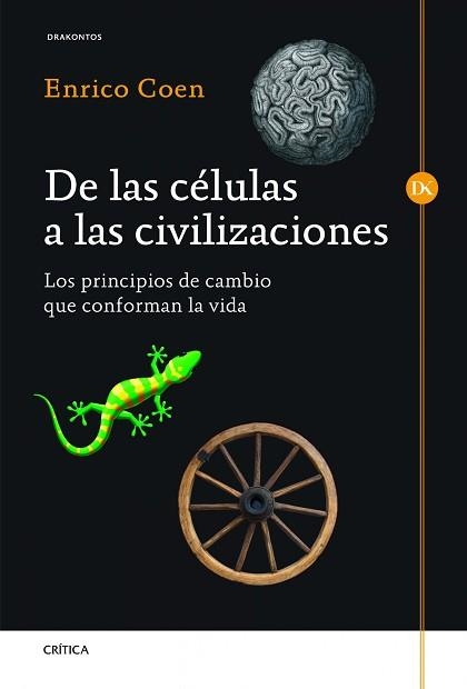 DE LAS CÉLULAS A LAS CIVILIZACIONES | 9788498924954 | COEN, ENRICO  | Llibreria Aqualata | Comprar llibres en català i castellà online | Comprar llibres Igualada