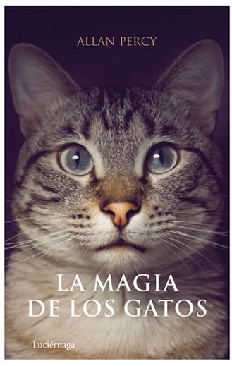 MAGIA DE LOS GATOS, LA | 9788492545063 | PERCY, ALLAN | Llibreria Aqualata | Comprar llibres en català i castellà online | Comprar llibres Igualada