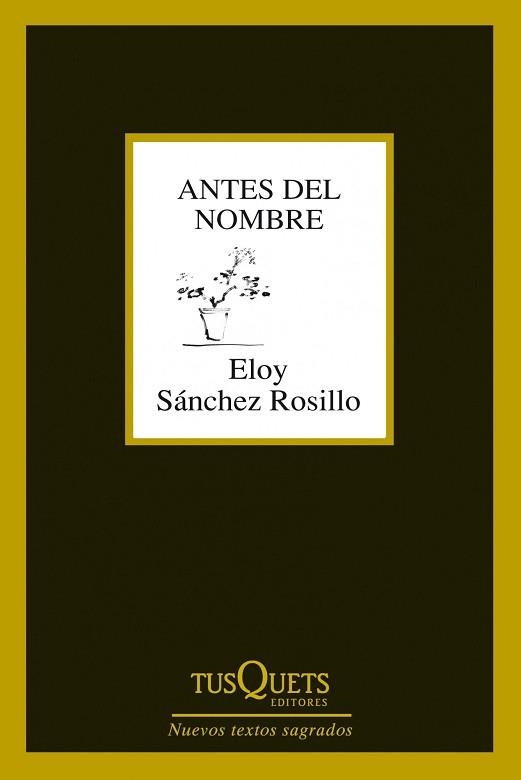 ANTES DEL NOMBRE | 9788483834619 | SÁNCHEZ ROSILLO, ELOY | Llibreria Aqualata | Comprar llibres en català i castellà online | Comprar llibres Igualada