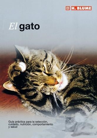 GATO, EL | 9788489840775 | Llibreria Aqualata | Comprar llibres en català i castellà online | Comprar llibres Igualada