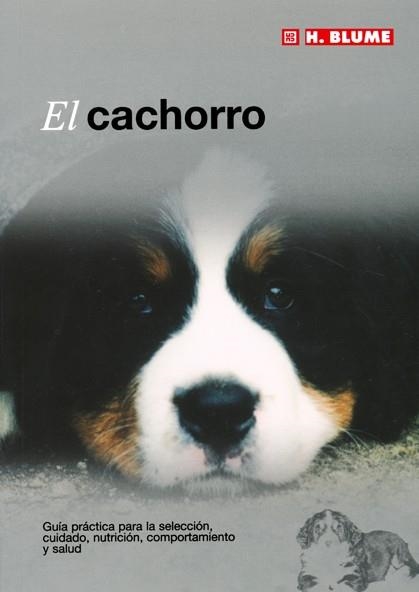 CACHORRO, EL | 9788489840898 | Llibreria Aqualata | Comprar llibres en català i castellà online | Comprar llibres Igualada