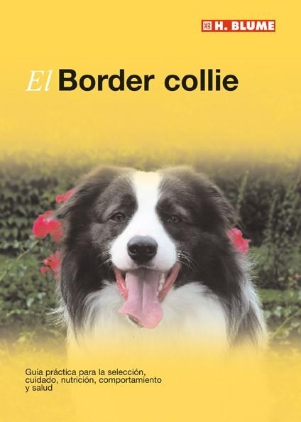 BORDER COLLIE, EL | 9788496669116 | Llibreria Aqualata | Comprar llibres en català i castellà online | Comprar llibres Igualada