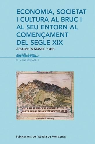 ECONOMIA, SOCIETAT I CULTURA AL BRUC I AL SEU ENTORN AL COMENÇAMENT DEL SEGLE XI | 9788498831399 | MUSET PONS, ASSUMPTA | Llibreria Aqualata | Comprar llibres en català i castellà online | Comprar llibres Igualada