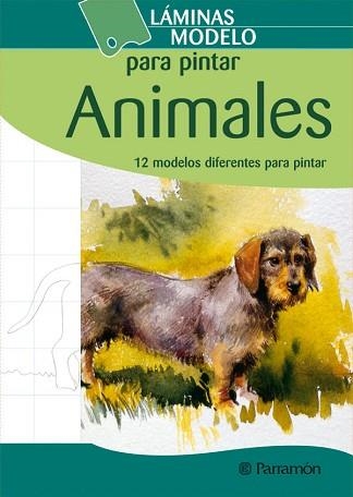 ANIMALES (LAMINAS MODELO PARA PINTAR) | 9788434238428 | EQUIPO PARRAMON | Llibreria Aqualata | Comprar llibres en català i castellà online | Comprar llibres Igualada