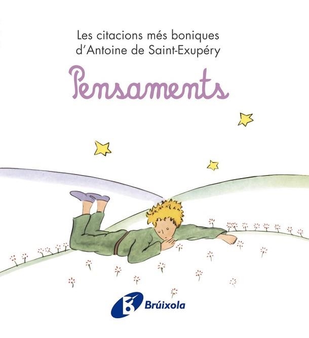 PENSAMENTS. LES CITACIONS MÉS BONIQUES D'ANTOINE DE SAINT-EXUPERY | 9788499061245 | DE SAINT-EXUPÉRY, ANTOINE | Llibreria Aqualata | Comprar libros en catalán y castellano online | Comprar libros Igualada