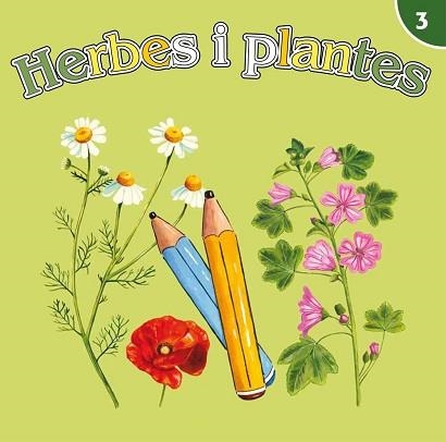 HERBES I PLANTES | 9788499792170 | MARTÍ DE AHUMADA, BLANCA | Llibreria Aqualata | Comprar llibres en català i castellà online | Comprar llibres Igualada