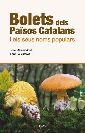 BOLETS DELS PAÏSOS CATALANS I ELS SEUS NOMS POPULARS | 9788496905986 | VIDAL FRIGOLA, JOSEP MARIA / BALLESTEROS SAGARRA, ENRIC | Llibreria Aqualata | Comprar llibres en català i castellà online | Comprar llibres Igualada