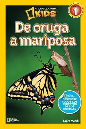 DE ORUGA A MARIPOSA | 9788482985619 | MARSH , LAURA | Llibreria Aqualata | Comprar llibres en català i castellà online | Comprar llibres Igualada