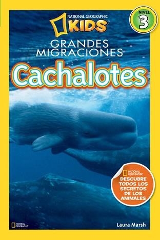 CACHALOTES | 9788482985633 | MARSH , LAURA | Llibreria Aqualata | Comprar llibres en català i castellà online | Comprar llibres Igualada