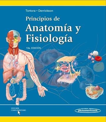 PRINCIPIOS DE ANATOMÍA Y FISIOLOGÍA - 13A. EDICIÓ | 9786077743781 | TORTORA, GERARD / DERRICKSON, BRYAN | Llibreria Aqualata | Comprar llibres en català i castellà online | Comprar llibres Igualada