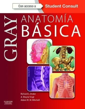 GRAY. ANATOMÍA BÁSICA + STUDENTCONSULT | 9788480869423 | DRAKE, R.L./VOGL, A.W./MITCHELL, A.W.M. | Llibreria Aqualata | Comprar llibres en català i castellà online | Comprar llibres Igualada