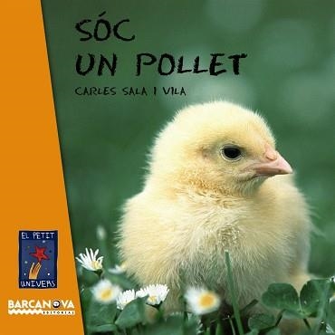 SOC UN POLLET (LLETRA DE PAL - CARTRO) | 9788448926618 | SALA I VILA, CARLES | Llibreria Aqualata | Comprar libros en catalán y castellano online | Comprar libros Igualada