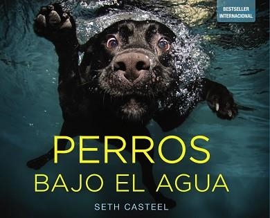 PERROS BAJO EL AGUA | 9788441534612 | CASTEL, SETH | Llibreria Aqualata | Comprar llibres en català i castellà online | Comprar llibres Igualada