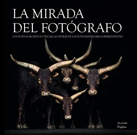 MIRADA DEL FOTÓGRAFO, LA | 9788441534254 | 1X.COM | Llibreria Aqualata | Comprar llibres en català i castellà online | Comprar llibres Igualada