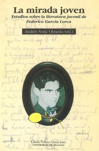 MIRADA JOVEN, LA | 9788433823618 | SORIA OLMEDO, ANDRES | Llibreria Aqualata | Comprar llibres en català i castellà online | Comprar llibres Igualada