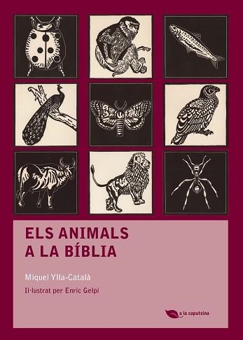 ANIMALS A LA BÍBLIA,ELS | 9788499792484 | YLLA-CATALÀ, MIQUEL | Llibreria Aqualata | Comprar llibres en català i castellà online | Comprar llibres Igualada