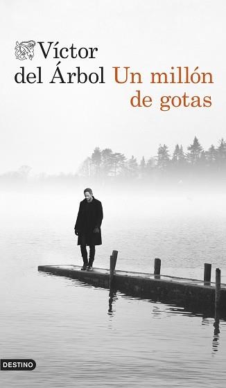 UN MILLÓN DE GOTAS | 9788423348138 | DEL ÁRBOL, VÍCTOR | Llibreria Aqualata | Comprar llibres en català i castellà online | Comprar llibres Igualada