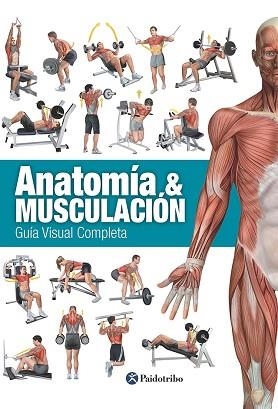 ANATOMÍA & MUSCULACIÓN. GUÍA VISUAL COMPLETA (COLOR) | 9788499104911 | CÁNOVAS LINARES, RICARDO | Llibreria Aqualata | Comprar llibres en català i castellà online | Comprar llibres Igualada