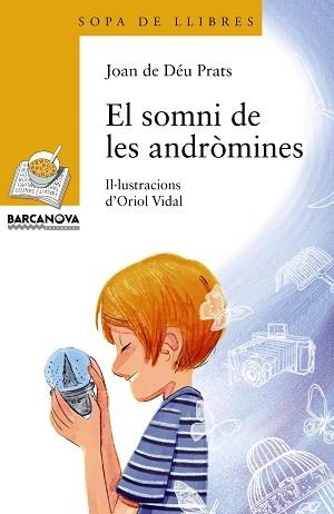 SOMNI DE LES ANDRÒMINES, EL | 9788448933999 | PRATS, JOAN DE DÉU | Llibreria Aqualata | Comprar llibres en català i castellà online | Comprar llibres Igualada