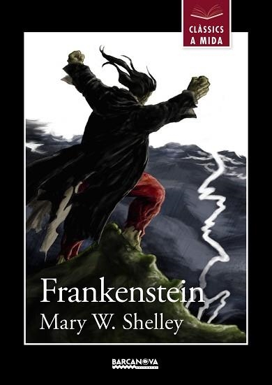 FRANKENSTEIN (CLÀSSICS A MIDA) | 9788448934927 | SHELLEY, MARY W. | Llibreria Aqualata | Comprar llibres en català i castellà online | Comprar llibres Igualada