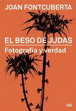 BESO DE JUDAS, EL | 9788425228322 | FONTCUBERTA VILLA, JOAN | Llibreria Aqualata | Comprar llibres en català i castellà online | Comprar llibres Igualada