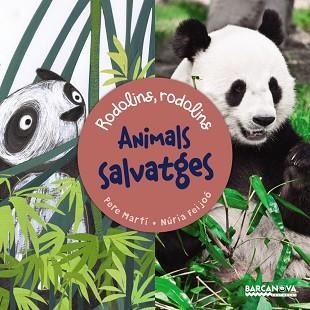 ANIMALS SALVATGES. RODOLINS, RODOLINS | 9788448935689 | MARTÍ I BERTRAN, PERE | Llibreria Aqualata | Comprar libros en catalán y castellano online | Comprar libros Igualada