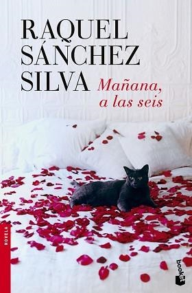 MAÑANA, A LAS SEIS | 9788408140498 | SÁNCHEZ SILVA, RAQUEL  | Llibreria Aqualata | Comprar llibres en català i castellà online | Comprar llibres Igualada