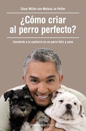 CÓMO CRIAR AL PERRO PERFECTO? | 9788490625477 | MILLÁN, CÉSAR | Llibreria Aqualata | Comprar llibres en català i castellà online | Comprar llibres Igualada