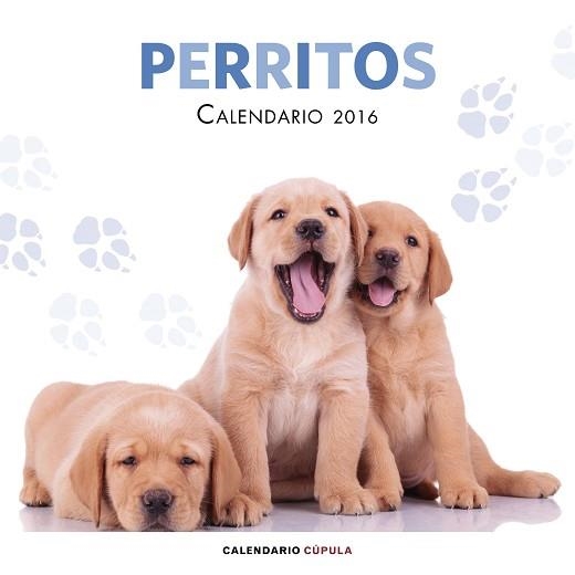 2016 CALENDARIO PERRITOS | 9788448021702 | AA. VV. | Llibreria Aqualata | Comprar llibres en català i castellà online | Comprar llibres Igualada