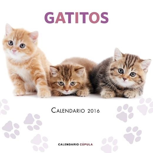 2016 CALENDARIO GATITOS | 9788448021719 | AA. VV. | Llibreria Aqualata | Comprar llibres en català i castellà online | Comprar llibres Igualada