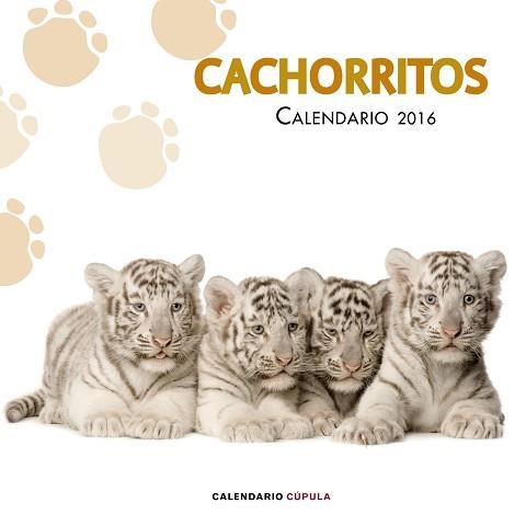 2016 CALENDARIO CACHORRITOS  | 9788448021733 | AA. VV. | Llibreria Aqualata | Comprar llibres en català i castellà online | Comprar llibres Igualada