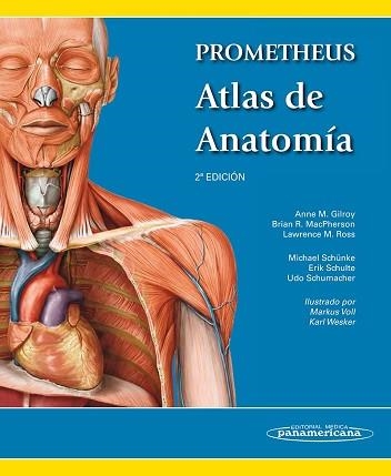 PROMETHEUS. ATLAS DE ANATOMÍA | 9788498357080 | M. GILROY, ANNE/R. MACPHERSON, BRIAN/M. ROSS, LAWRENCE | Llibreria Aqualata | Comprar llibres en català i castellà online | Comprar llibres Igualada