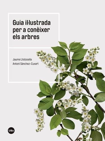 GUIA IL·LUSTRADA PER A CONÈIXER ELS ARBRES | 9788447542444 | LLISTOSELLA VIDAL, JAUME / SÀNCHEZ CUXART, ANTONI | Llibreria Aqualata | Comprar llibres en català i castellà online | Comprar llibres Igualada