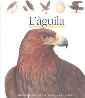 AGUILA, L` (MON MERAVELLOS 26) | 9788476298220 | Llibreria Aqualata | Comprar llibres en català i castellà online | Comprar llibres Igualada