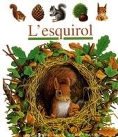 ESQUIROL, L' (MON MERAVELLOS 41) | 9788482865836 | Llibreria Aqualata | Comprar llibres en català i castellà online | Comprar llibres Igualada