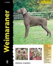 WEIMARANER | 9788425513985 | HARPER, LAVONIA | Llibreria Aqualata | Comprar llibres en català i castellà online | Comprar llibres Igualada