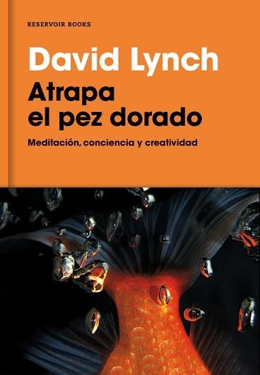 ATRAPA EL PEZ DORADO | 9788416709014 | LYNCH, DAVID | Llibreria Aqualata | Comprar llibres en català i castellà online | Comprar llibres Igualada