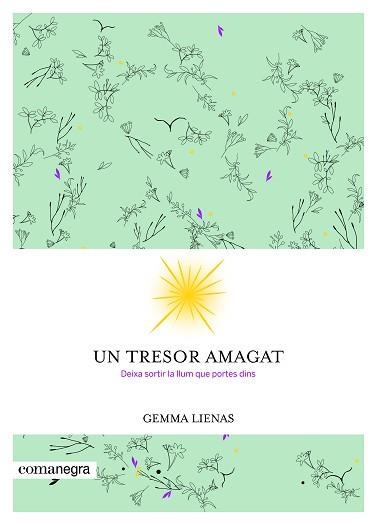 UN TRESOR AMAGAT | 9788416605347 | LIENAS MASSOT, GEMMA | Llibreria Aqualata | Comprar llibres en català i castellà online | Comprar llibres Igualada