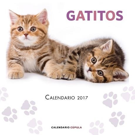 2017 CALENDARIO GATITOS  | 9788448022594 | AA. VV. | Llibreria Aqualata | Comprar llibres en català i castellà online | Comprar llibres Igualada