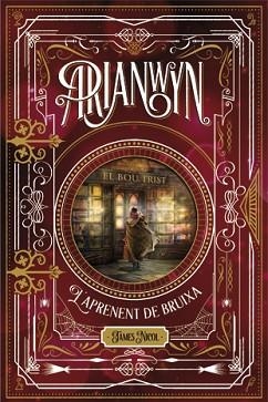 ARIANWYN I. L'APRENENT DE BRUIXA | 9788424658694 | NICOL, JAMES | Llibreria Aqualata | Comprar llibres en català i castellà online | Comprar llibres Igualada