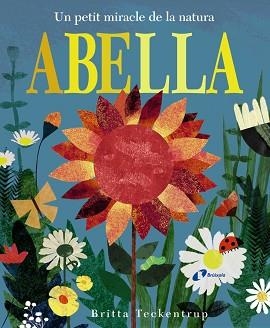 ABELLA | 9788499067278 | HEGARTY, PATRICIA | Llibreria Aqualata | Comprar libros en catalán y castellano online | Comprar libros Igualada