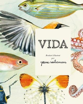 VIDA. BESTIARI IL·LUSTRAT PER JOANA SANTAMANS | 9788416670000 | SANTAMANS, JOANA | Llibreria Aqualata | Comprar llibres en català i castellà online | Comprar llibres Igualada