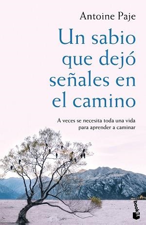 UN SABIO QUE DEJÓ SEÑALES EN EL CAMINO | 9788408166382 | PAJE, ANTOINE | Llibreria Aqualata | Comprar llibres en català i castellà online | Comprar llibres Igualada