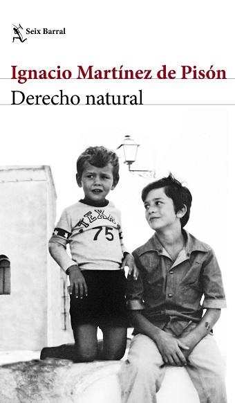 DERECHO NATURAL | 9788432232220 | MARTÍNEZ DE PISÓN, IGNACIO | Llibreria Aqualata | Comprar libros en catalán y castellano online | Comprar libros Igualada