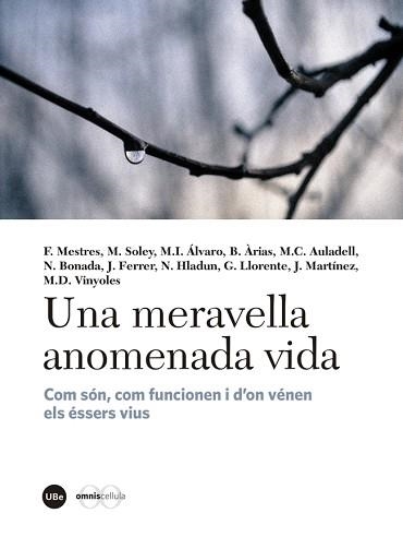 UNA MERAVELLA ANOMENADA VIDA. COM SÓN, COM FUNCIONEN I D?ON VÉNEN ELS ÉSSERS VIUS | 9788447540310 | VARIOS AUTORES | Llibreria Aqualata | Comprar llibres en català i castellà online | Comprar llibres Igualada