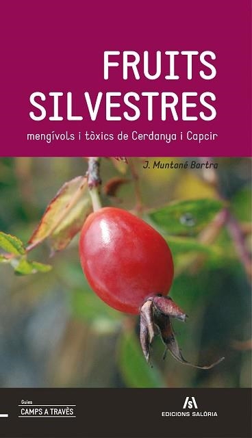 FRUITS SILVESTRES MENGÍVOLS I TÒXICS DE LA CERDANYA | 9788494049750 | MUNTANÉ BARTRA, JOAN / SIERRA RÀFOLS, EUGENI | Llibreria Aqualata | Comprar llibres en català i castellà online | Comprar llibres Igualada