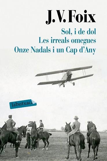 SOL, I DE DOL. LES IRREALS OMEGUES. ONZE NADALS I UN CAP D'ANY | 9788417031626 | FOIX I MAS, J. V. | Llibreria Aqualata | Comprar libros en catalán y castellano online | Comprar libros Igualada