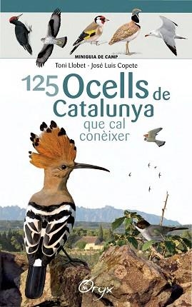 125 OCELLS DE CATALUNYA QUE CAL CONÈIXER | 9788490346747 | LLOBET FRANÇOIS, TONI / COPETE, JOSÉ LUIS | Llibreria Aqualata | Comprar llibres en català i castellà online | Comprar llibres Igualada